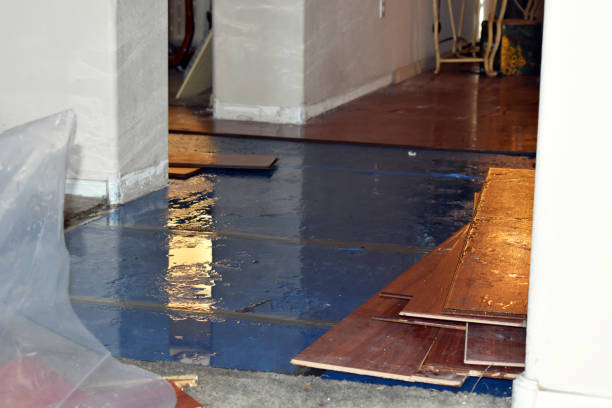 Professional Burst Pipe Cleanup technician working in Weaverville, CA